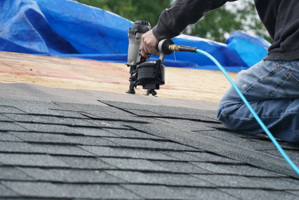 Best Roof Maintenance and Cleaning  in Denison, TX
