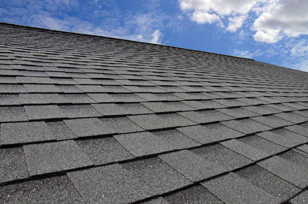 Best Gutter Installation and Repair  in Denison, TX