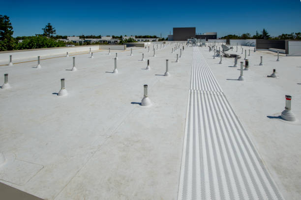 Best Roof Moss and Algae Removal  in Denison, TX
